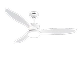 All-Weather Outdoor Ceiling Fans