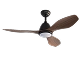 Ceiling Fans with Lights