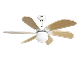 Energy Efficient & Budget Ceiling Fans
