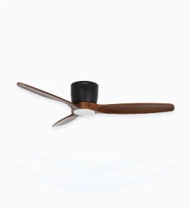 Upscale Ceiling Fans for Dining Room & Foyer Centerpiece