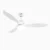 52 Inch Outdoor Ceiling Fans Waterproof IP65-White White