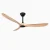60 Modern Ceiling Fan for Sloped Ceiling up to 15° Downrod-White Burlywood