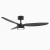 BLDC Ceiling Fan 35W 10000+ CFM Ultra Quiet-Black