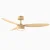 BLDC Ceiling Fan 35W 10000+ CFM Ultra Quiet-Gold