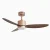 Contemporary Ceiling Fan with Light Dimmable 3000-6000K-Main