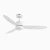 Contemporary Ceiling Fan with Light Dimmable 3000-6000K-White