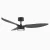 Contemporary Luxury Ceiling Fans for Smart home-black