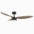 Contemporary Luxury Ceiling Fans for Smart home-combo
