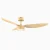 Contemporary Luxury Ceiling Fans for Smart home-oak