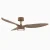 Contemporary Luxury Ceiling Fans for Smart home-walnut