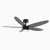 DC Motor Ceiling Fan 35W 10000+ Energy Saving Certified-Black