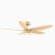 DC Motor Ceiling Fan 35W 10000+ Energy Saving Certified-Gold