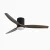 Dimmable LED Ceiling Fan with Remote Control-Black Deep