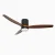 Dimmable LED Ceiling Fan with Remote Control-Black Red