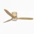 Dimmable LED Ceiling Fan with Remote Control-Wood grain