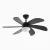 Eco-Friendly Energy saving DC Ceiling Fan Cost-Effective-Dark Gray
