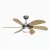Eco-Friendly Energy saving DC Ceiling Fan Cost-Effective-Gold & Silver Gray