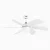 Eco-Friendly Energy saving DC Ceiling Fan Cost-Effective-White