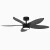 Smart Decorative Ceiling Fan Integrated Home Automation-matte-black
