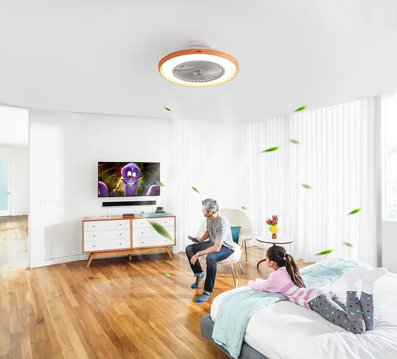 Space-Saving Flush Mount No Downrod Structure