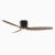 Upscale Ceiling Fans for Dining Room & Foyer Centerpiece-combo