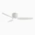 Upscale Ceiling Fans for Dining Room & Foyer Centerpiece-purewhite