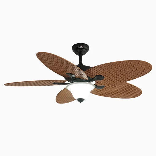 Vintage Antique Ceiling Fans for Patio & Study 4